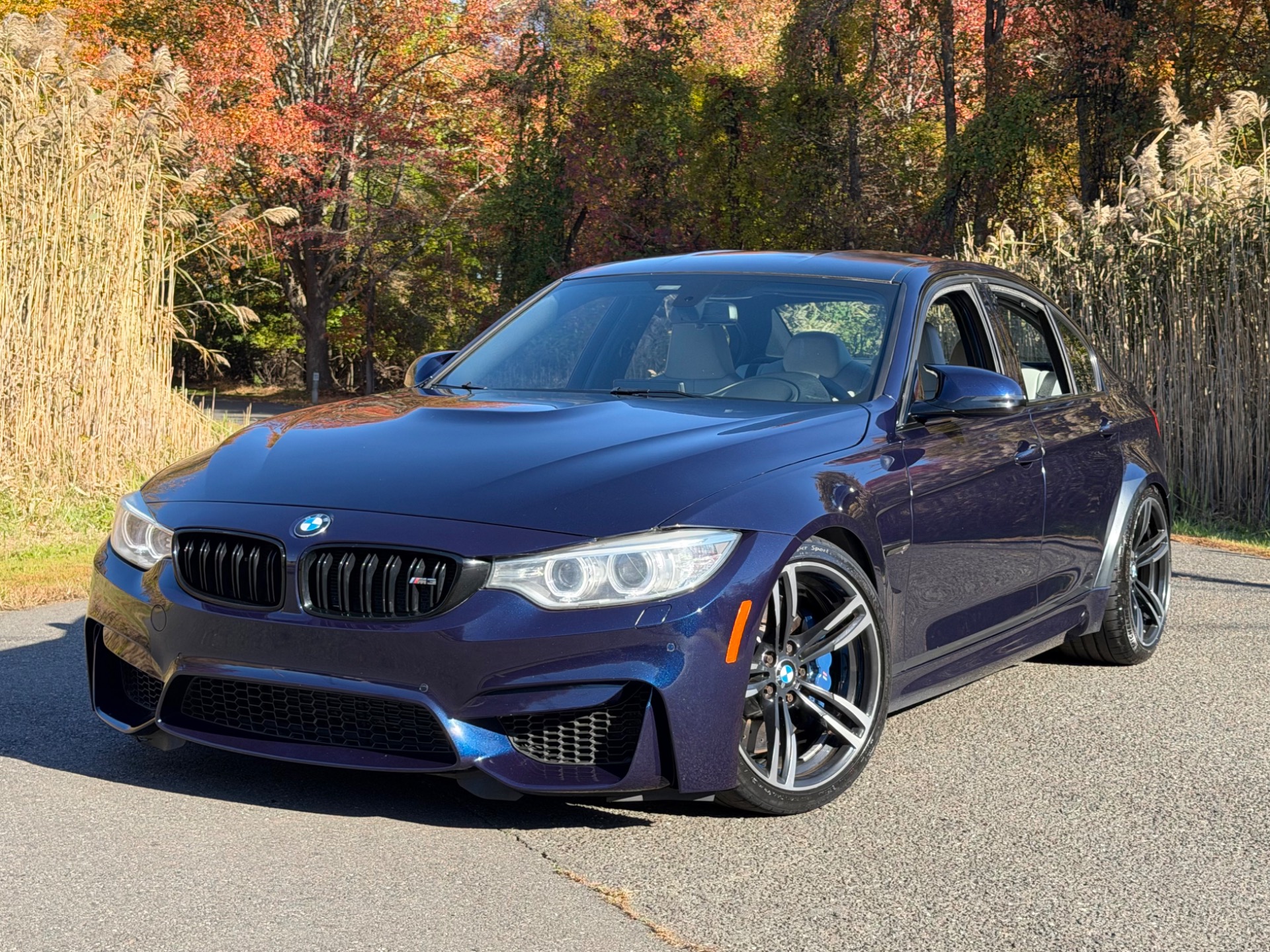 2015 BMW M3 F80