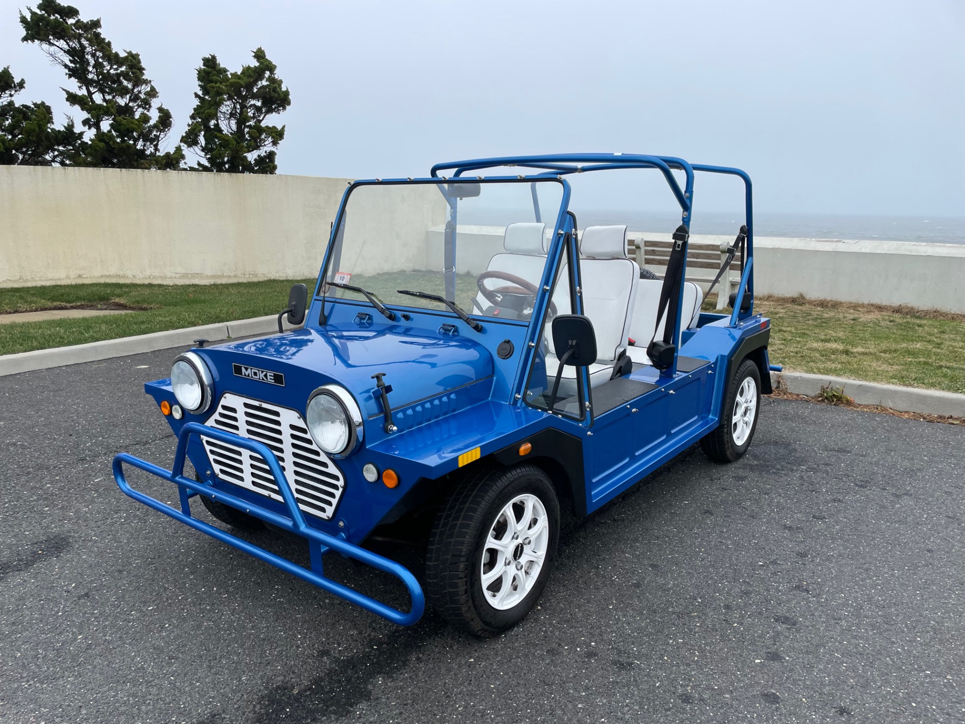 2018 ACG Moke EV 