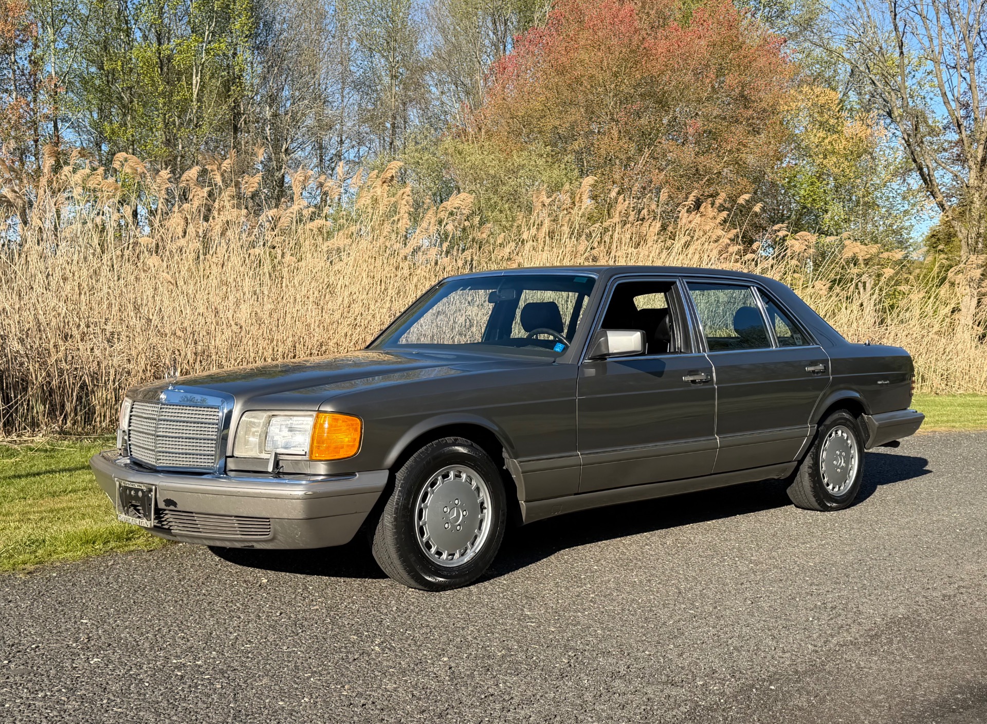 1987 Mercedes-Benz 420 - Photo 10