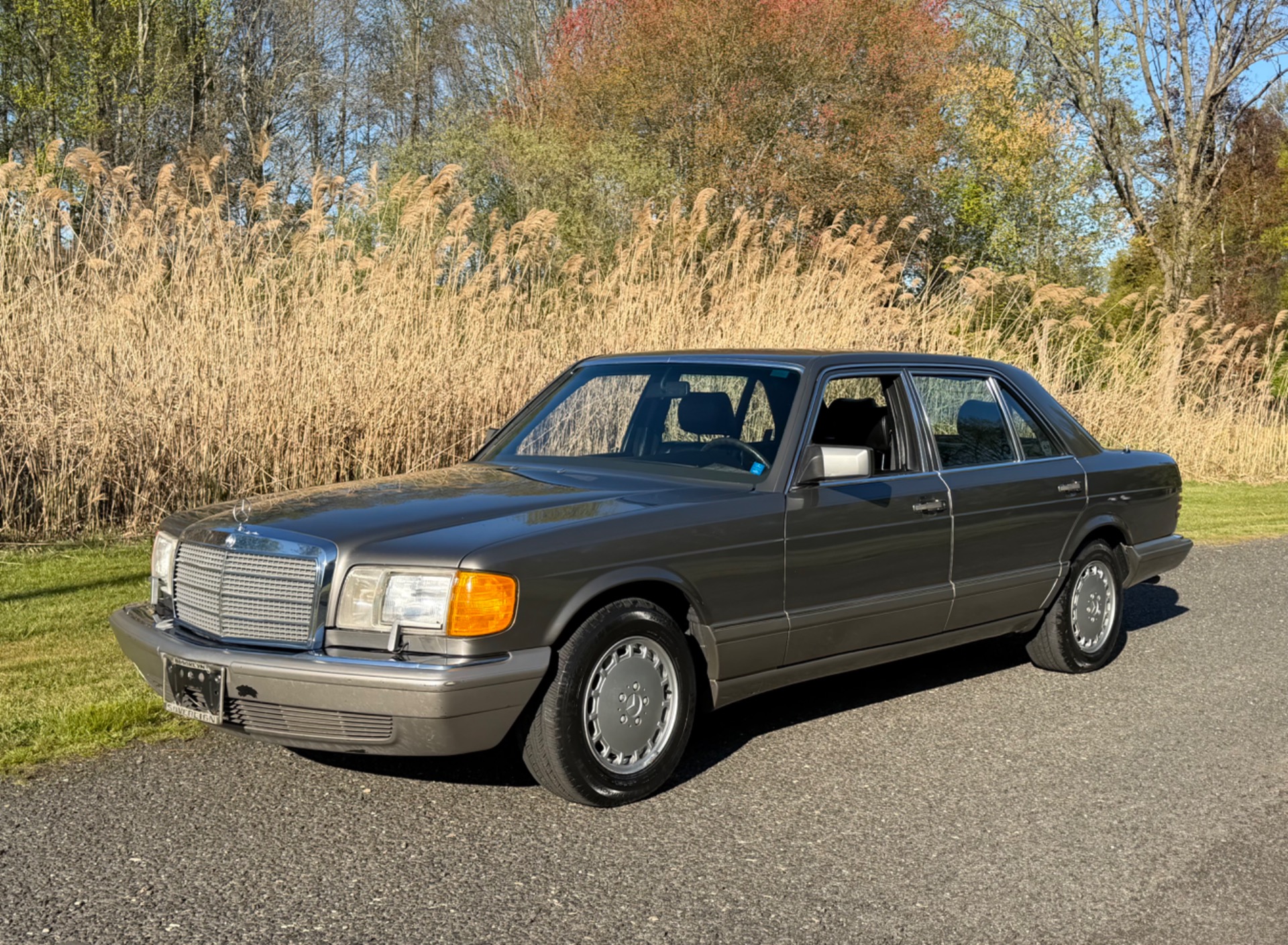 1987 Mercedes-Benz 420 - Photo 11