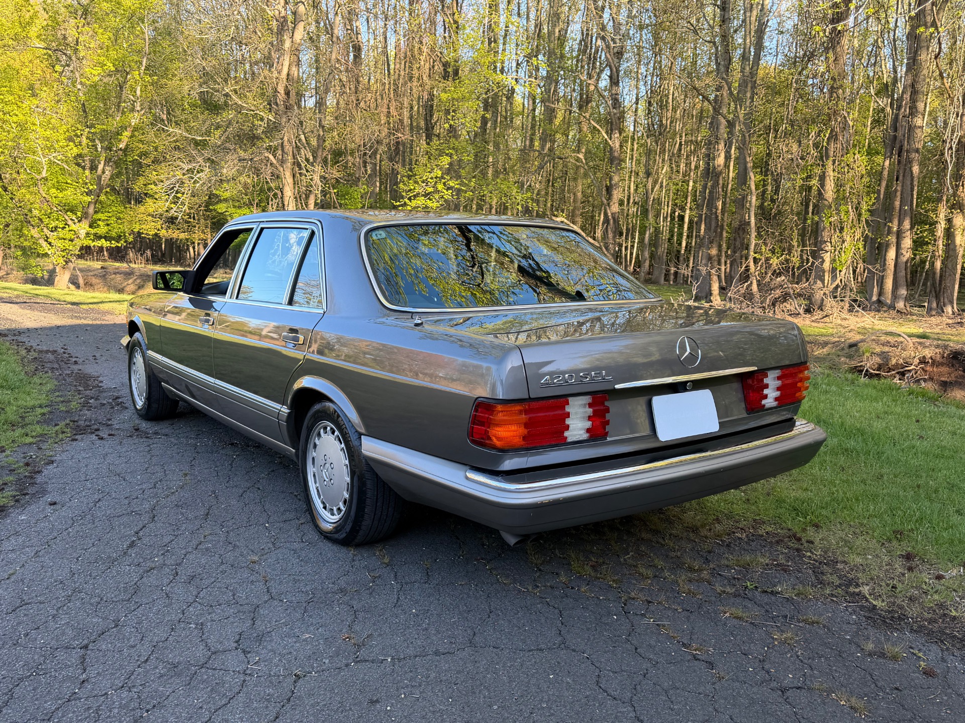 1987 Mercedes-Benz 420 - Photo 9
