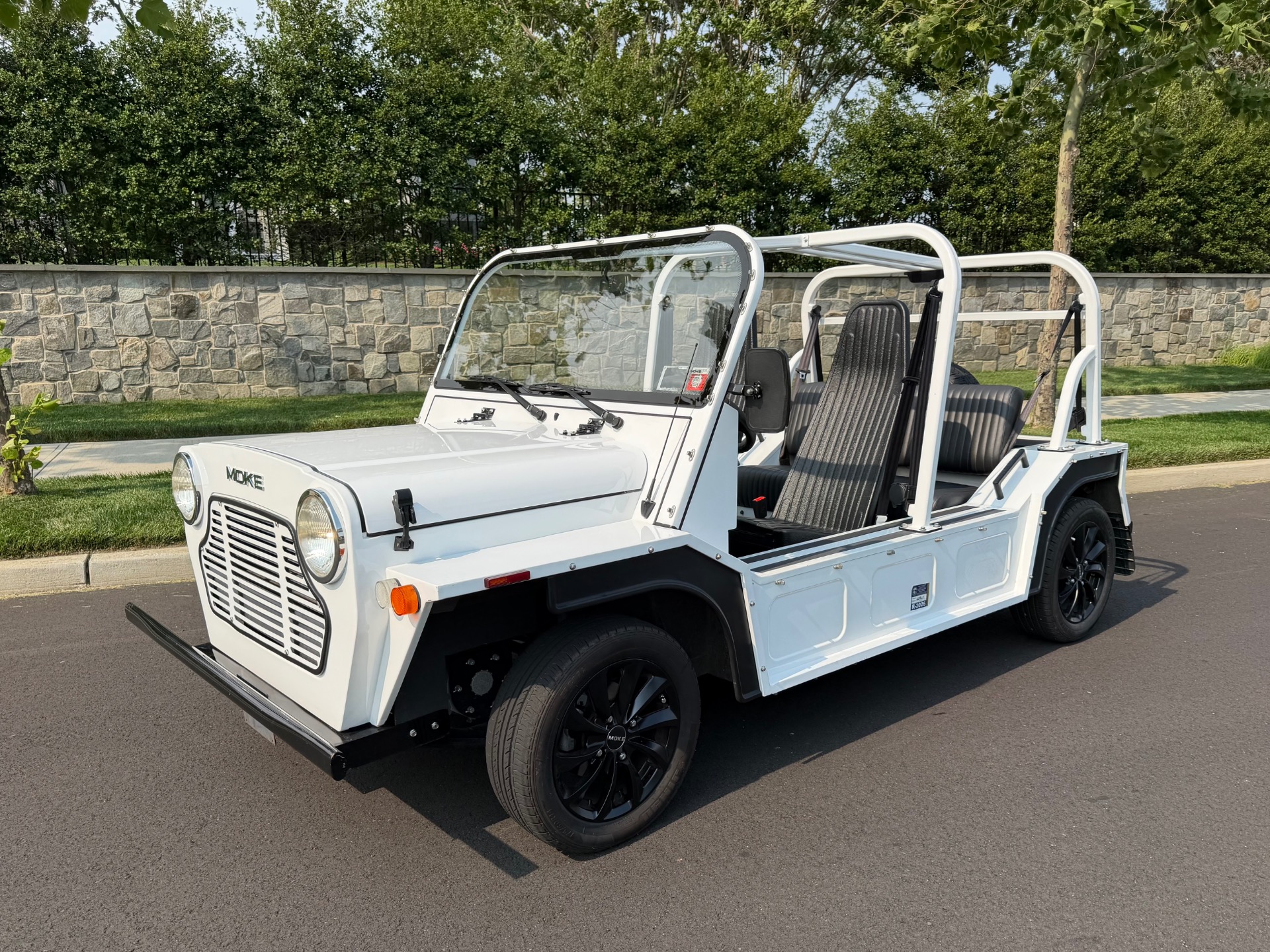 2018 Moke Electric 